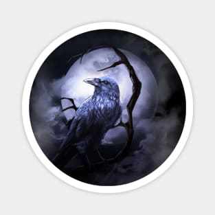 Midnight Raven Magnet